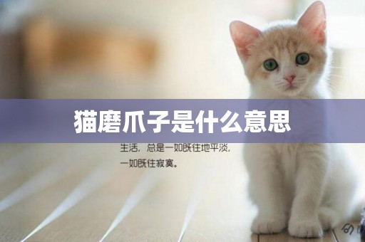 貓磨爪子是什么意思