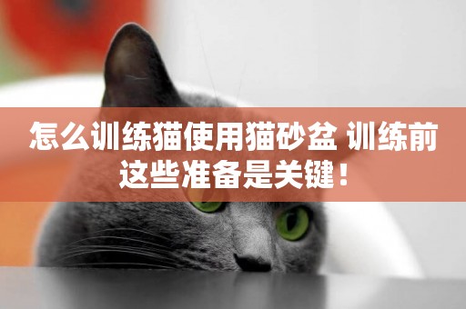 怎么訓練貓使用貓砂盆 訓練前這些準備是關鍵！