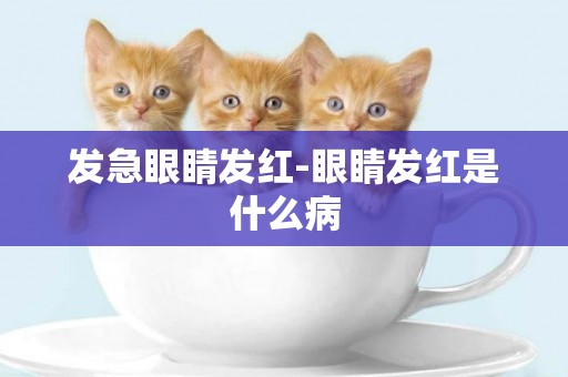 發急眼睛發紅-眼睛發紅是什么病