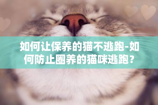 如何讓保養的貓不逃跑-如何防止圈養的貓咪逃跑？