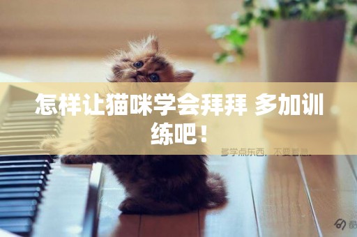怎樣讓貓咪學會拜拜 多加訓練吧！