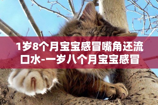 1歲8個月寶寶感冒嘴角還流口水-一歲八個月寶寶感冒流口水是怎么回事