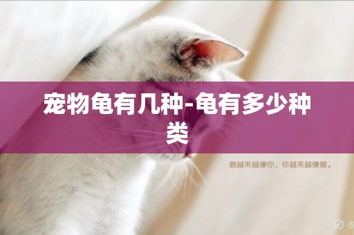 寵物龜有幾種-龜有多少種類