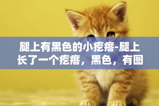 腿上有黑色的小疙瘩-腿上長了一個疙瘩，黑色，有圖