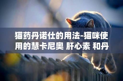 貓藥丹諾仕的用法-貓咪使用的慧卡尼奧 肝心素 和丹諾仕Denosyl貓肝病藥 這兩種藥有沒有副作用
