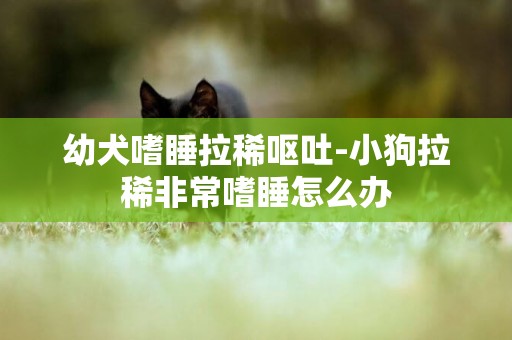 幼犬嗜睡拉稀嘔吐-小狗拉稀非常嗜睡怎么辦