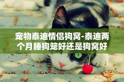 寵物泰迪情侶狗窩-泰迪兩個月睡狗籠好還是狗窩好