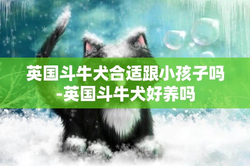 英國斗牛犬合適跟小孩子嗎-英國斗牛犬好養嗎