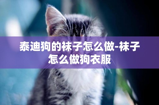 泰迪狗的襪子怎么做-襪子怎么做狗衣服
