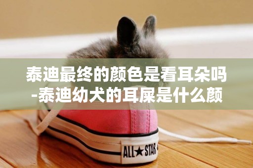 泰迪最終的顏色是看耳朵嗎-泰迪幼犬的耳屎是什么顏色的