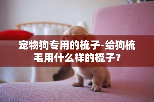 寵物狗專用的梳子-給狗梳毛用什么樣的梳子？