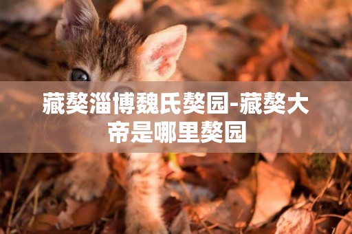 藏獒淄博魏氏獒園-藏獒大帝是哪里獒園