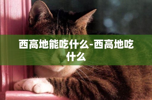 西高地能吃什么-西高地吃什么