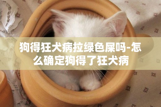 狗得狂犬病拉綠色屎嗎-怎么確定狗得了狂犬病