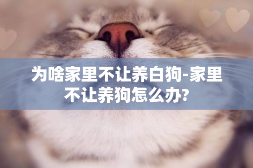 為啥家里不讓養白狗-家里不讓養狗怎么辦?