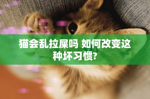貓會亂拉屎嗎 如何改變這種壞習慣?