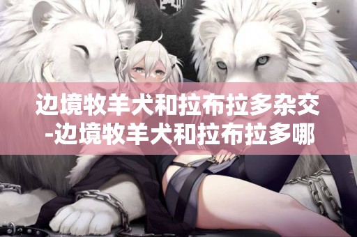 邊境牧羊犬和拉布拉多雜交-邊境牧羊犬和拉布拉多哪個好