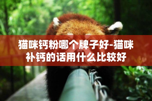 貓咪鈣粉哪個牌子好-貓咪補鈣的話用什么比較好