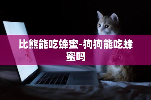 比熊能吃蜂蜜-狗狗能吃蜂蜜嗎