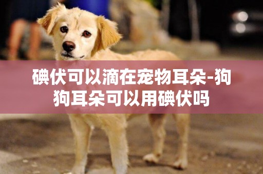 碘伏可以滴在寵物耳朵-狗狗耳朵可以用碘伏嗎