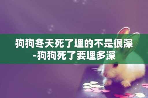 狗狗冬天死了埋的不是很深-狗狗死了要埋多深