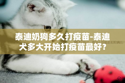 泰迪奶狗多久打疫苗-泰迪犬多大開始打疫苗最好？