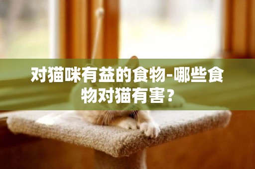 對貓咪有益的食物-哪些食物對貓有害？