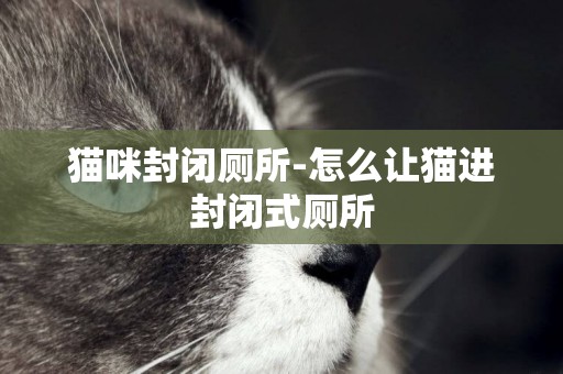 貓咪封閉廁所-怎么讓貓進封閉式廁所