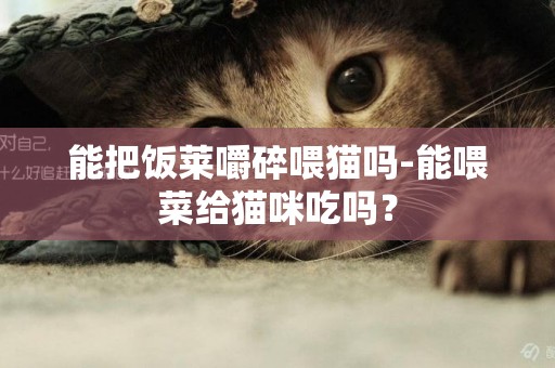 能把飯萊嚼碎喂貓嗎-能喂菜給貓咪吃嗎？