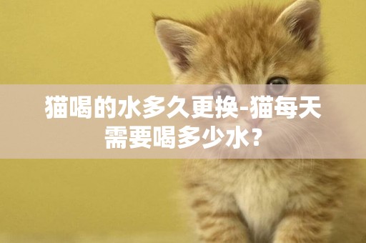 貓喝的水多久更換-貓每天需要喝多少水？