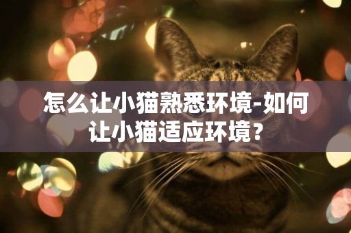怎么讓小貓熟悉環境-如何讓小貓適應環境？