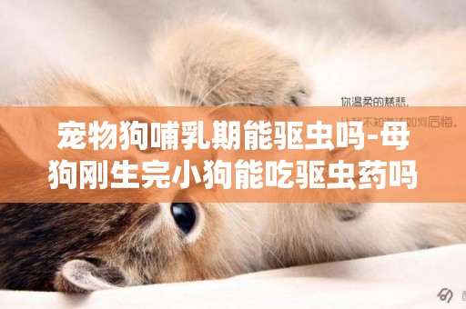 寵物狗哺乳期能驅蟲嗎-母狗剛生完小狗能吃驅蟲藥嗎？