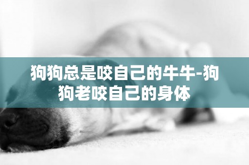 狗狗總是咬自己的牛牛-狗狗老咬自己的身體