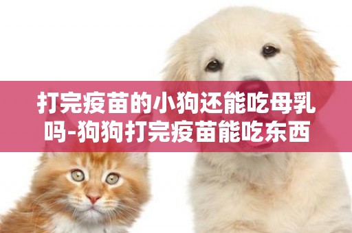 打完疫苗的小狗還能吃母乳嗎-狗狗打完疫苗能吃東西嗎