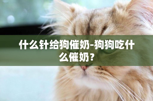 什么針給狗催奶-狗狗吃什么催奶？