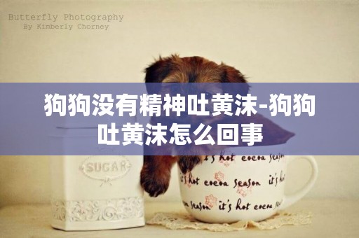 狗狗沒有精神吐黃沫-狗狗吐黃沫怎么回事