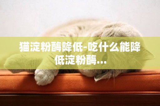 貓淀粉酶降低-吃什么能降低淀粉酶...