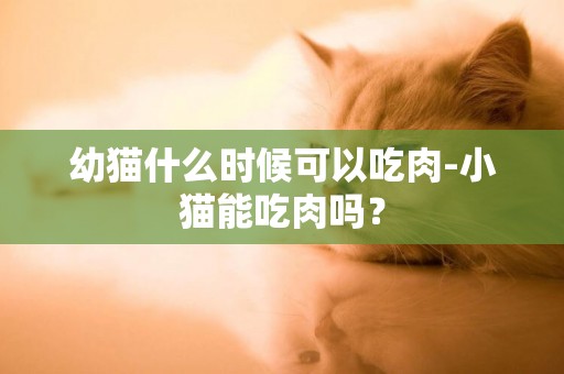 幼貓什么時候可以吃肉-小貓能吃肉嗎？