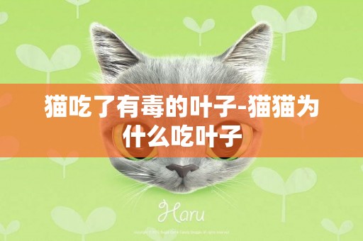 貓吃了有毒的葉子-貓貓為什么吃葉子