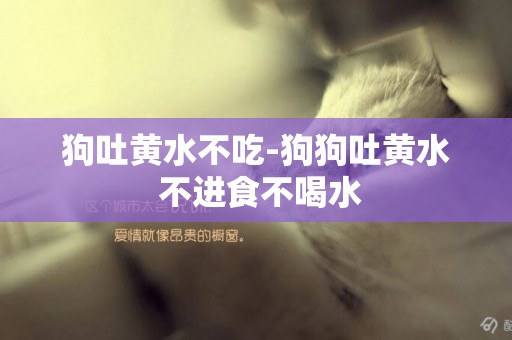 狗吐黃水不吃-狗狗吐黃水 不進食不喝水