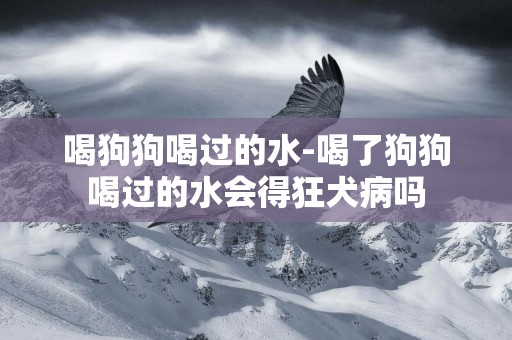 喝狗狗喝過的水-喝了狗狗喝過的水會得狂犬病嗎