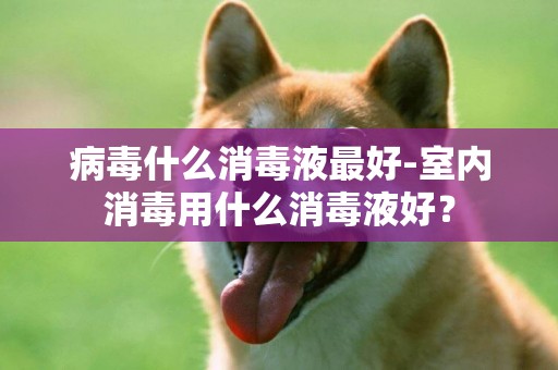 病毒什么消毒液最好-室內消毒用什么消毒液好？
