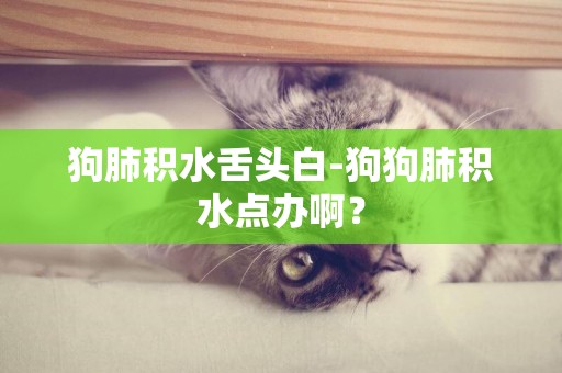 狗肺積水舌頭白-狗狗肺積水點辦啊？