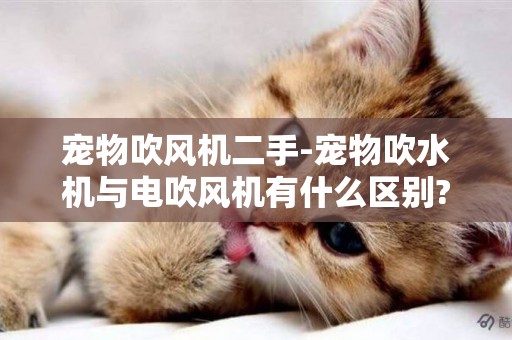 寵物吹風機二手-寵物吹水機與電吹風機有什么區別?