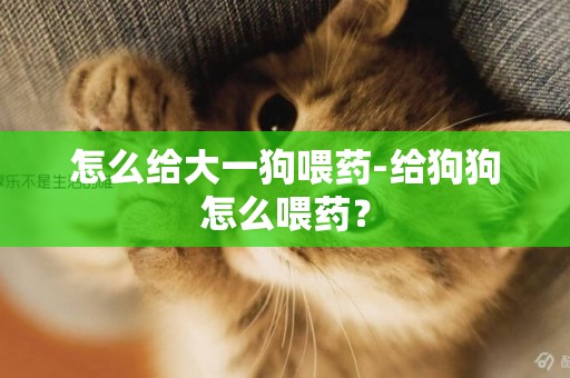 怎么給大一狗喂藥-給狗狗怎么喂藥？