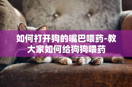 如何打開狗的嘴巴喂藥-教大家如何給狗狗喂藥