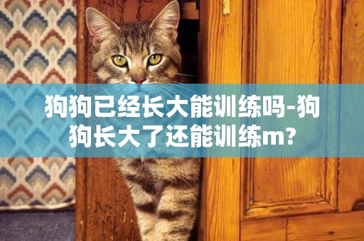 狗狗已經長大能訓練嗎-狗狗長大了還能訓練m?