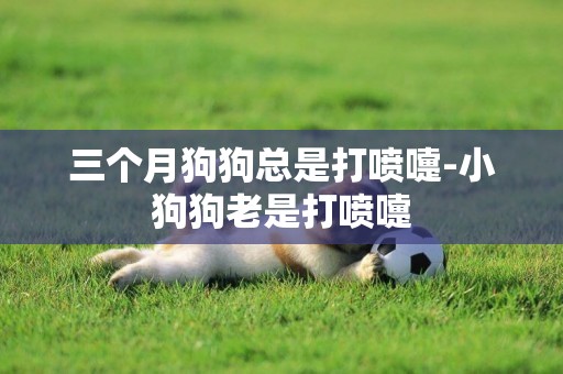 三個月狗狗總是打噴嚏-小狗狗老是打噴嚏