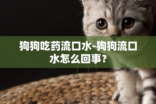 狗狗吃藥流口水-狗狗流口水怎么回事？