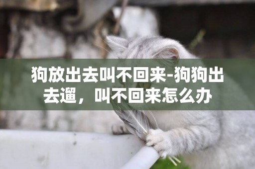 狗放出去叫不回來-狗狗出去遛，叫不回來怎么辦